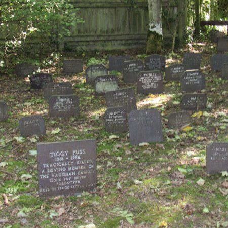 Penrhos Country Park